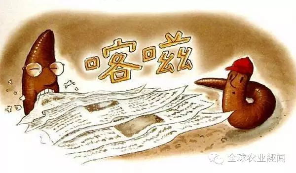 新啟力誠(chéng)懇邀請(qǐng)您參加新疆第18屆農(nóng)博會(huì)